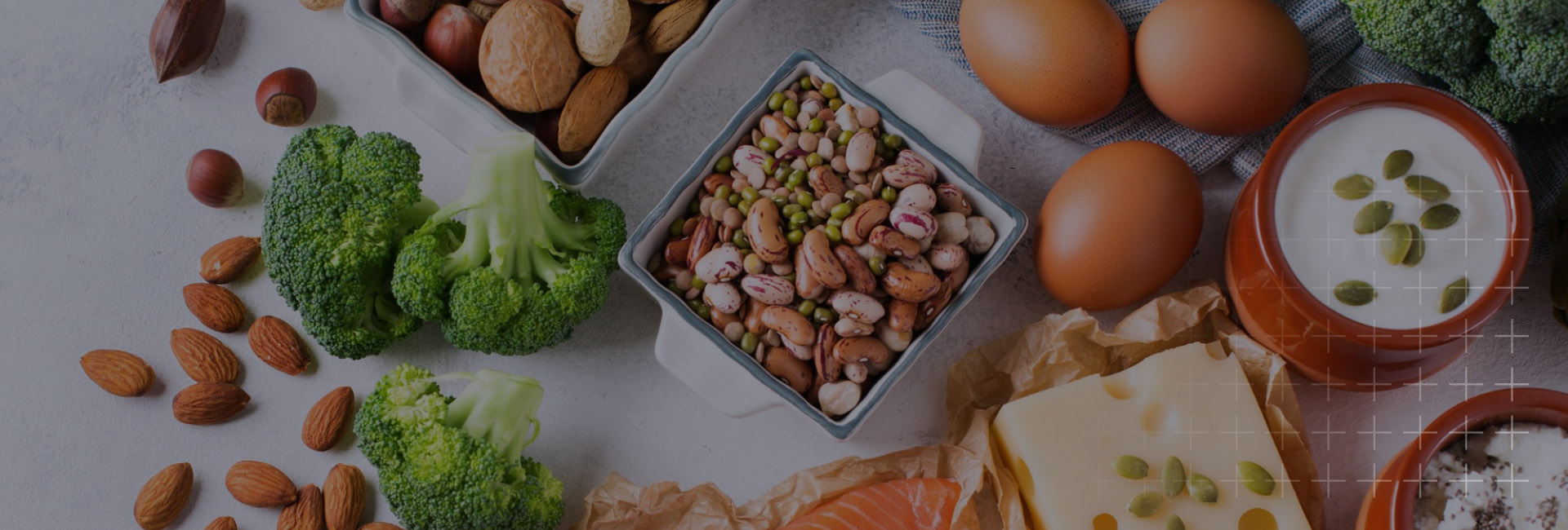 Hungry for Protein: Scaling the Next Generation of Protein